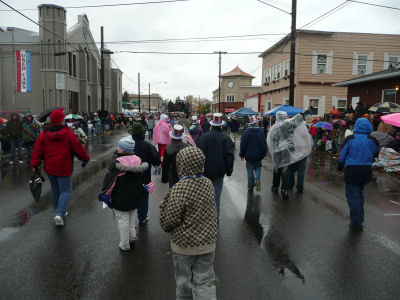 Albany Veterans Day Parade